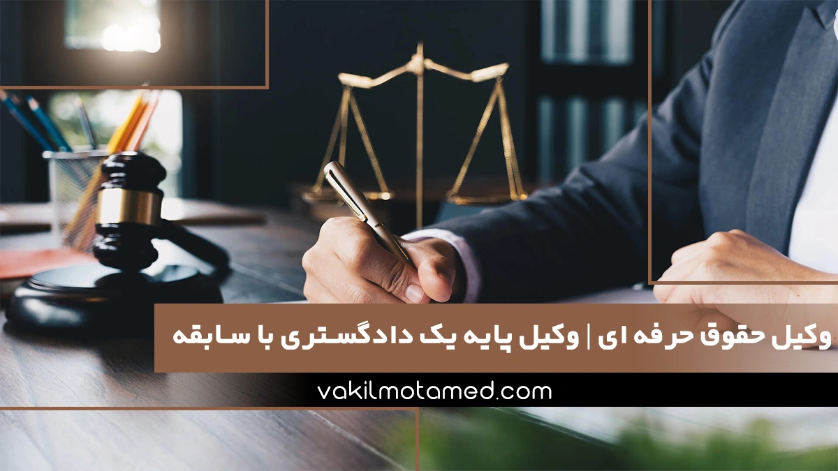 وکیل حقوق حرفه ای وکیل پایه یک دادگستری با سابقه