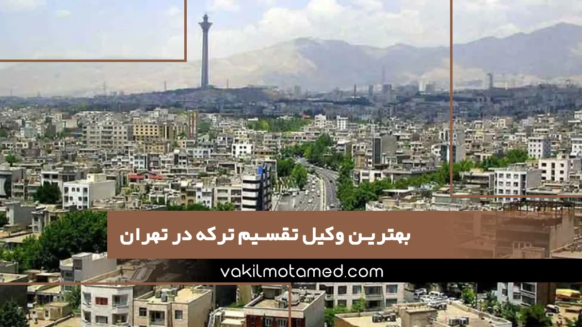 بهترین وکیل تقسیم ترکه در تهران